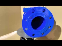 OEM 고무 좌석 대중력 경식 저항성 Cast Iron 체크 밸브