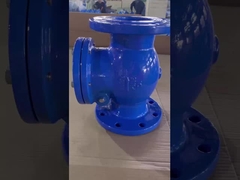 물 스윙 체크 밸브 얼굴 대 얼굴 DIN3202-F6