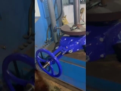 DIN3352-F4 탄력성 부드러운 좌석 상승 줄기 게이트 밸브